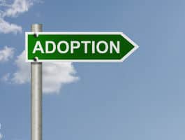 Richtungsweiser zur Adoption
